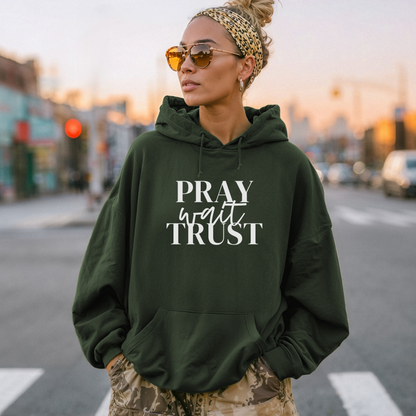 Pray Wait Trust